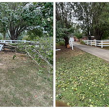 Tree-Debris-Removal-Storm-Cleanup-in-Oxford-MS 0